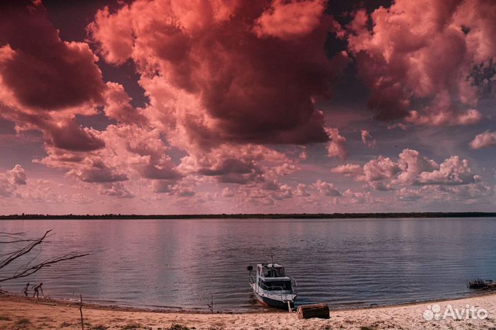 Прогулки по реке Обь