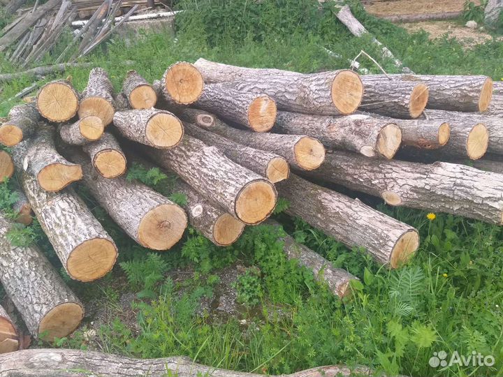 Столбы дубовые