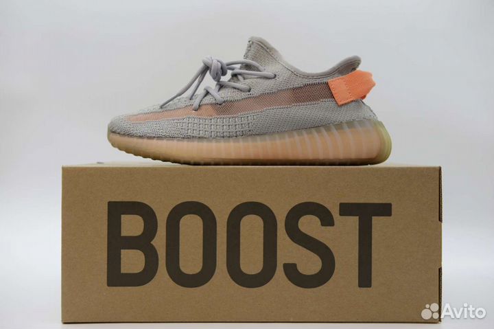 Adidas yeezy boost 350