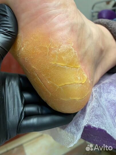 Требуются модели бесплатно