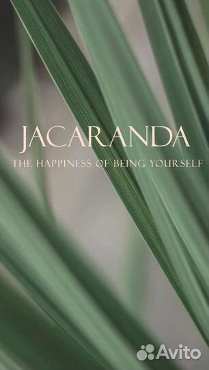 Анимация логотипа