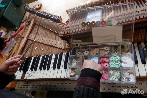 Настройка пианино и роялей/настройщик пианино