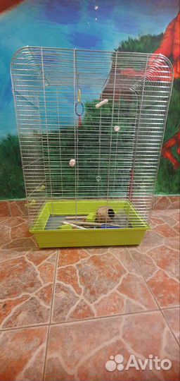 Клетка для крупного попугая