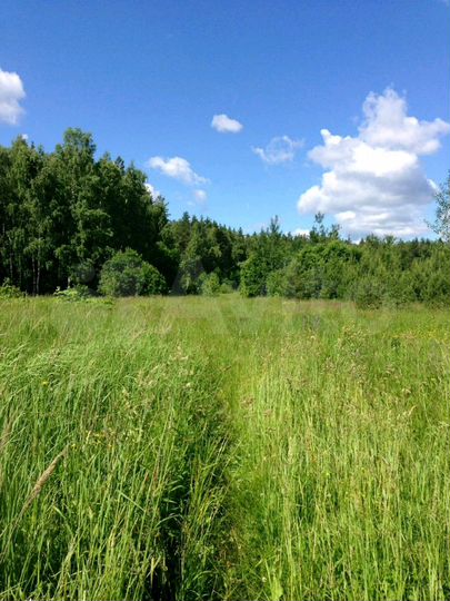 Участок 8 сот. (ИЖС)