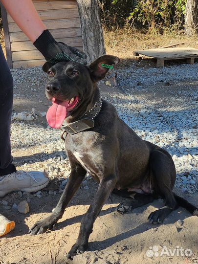 Фортуна ждет вас