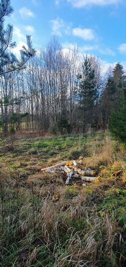 Участок 14,5 сот. (ИЖС)