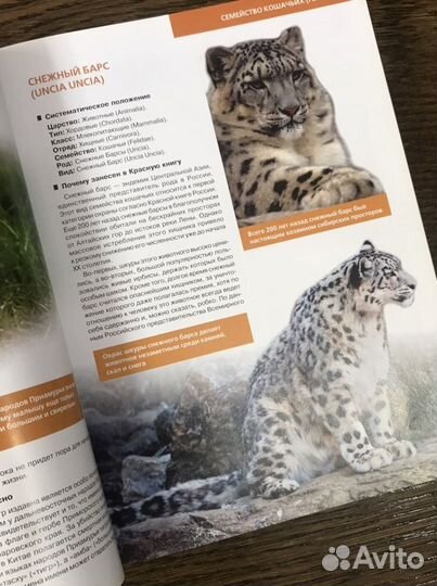 Красная книга России