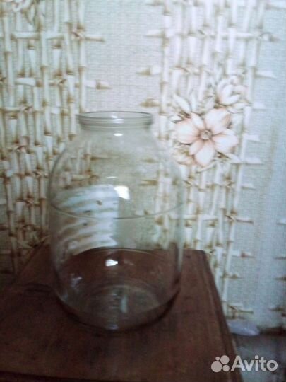 3х литровые балоны