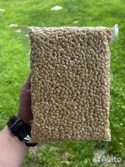 Орех кедровый