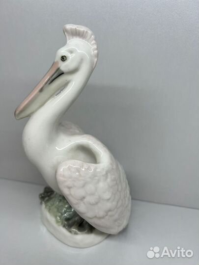 Птица Пеликан лфз