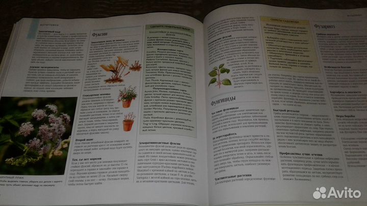 Книга Ридерз Дайджест. Для вашего сада