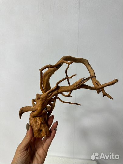 Коряги и корни для творчества и интерьера