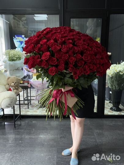 Букет Роз Розы 101 201 301 Доставка Роза