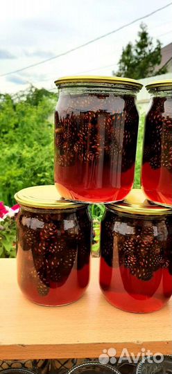 Варенье из сосновых шишек урожай 2023