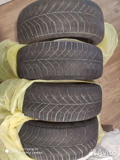 Continental ContiWinterContact TS 800 205/55 R16