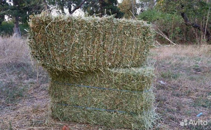 Сено люцерны, тюки