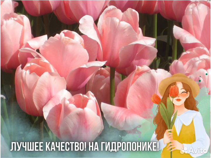 Тюльпаны оптом к 8 марта
