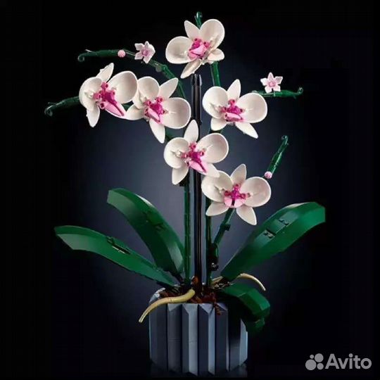 Конструктор Орхидея