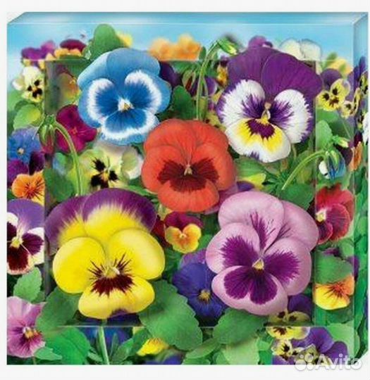 Набор для творчества