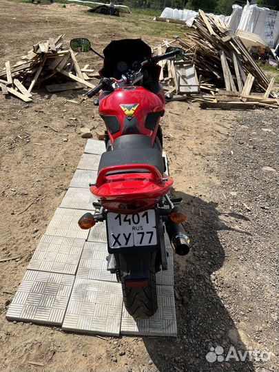 Suzuki GSF 650 Bandit