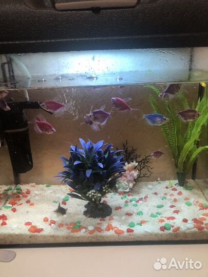 Аквариум