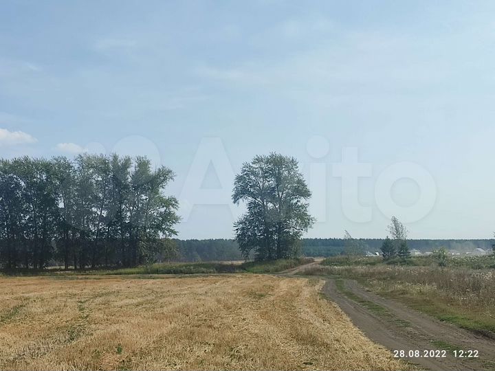 Участок 5 га (СНТ, ДНП)
