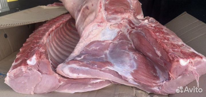 Мясо свинина полутуши