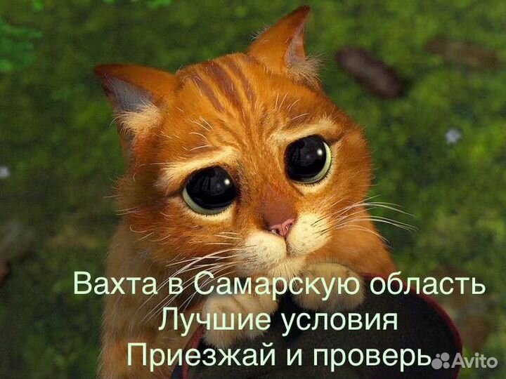 Самара Вахта (Пит+Прож)