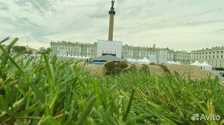 Рулонный газон