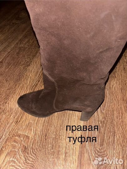 Сапоги женские sergio rossi