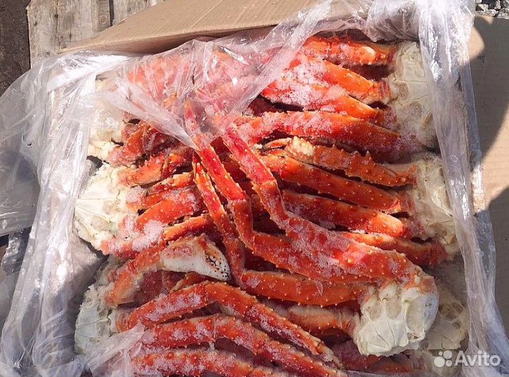 Конечности камчатского краба