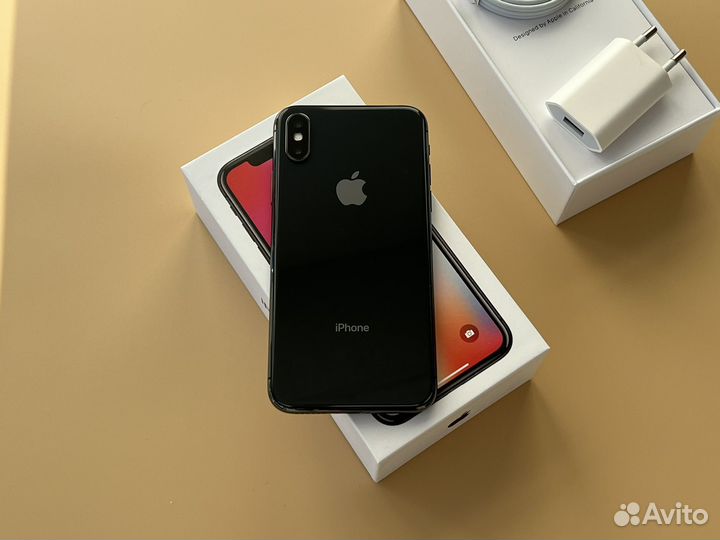 iPhone X, 256 ГБ