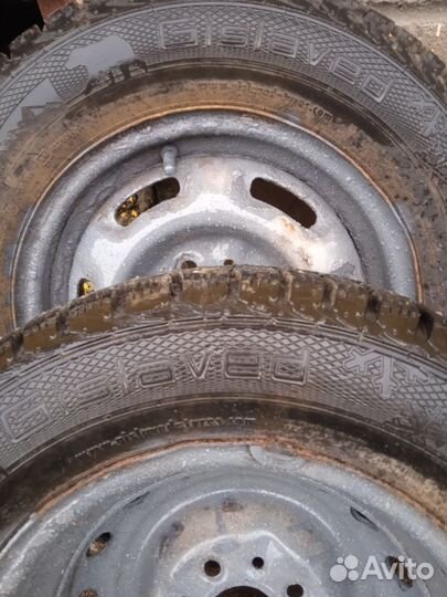 Gislaved Nord Frost 5 175/70 R13 82T