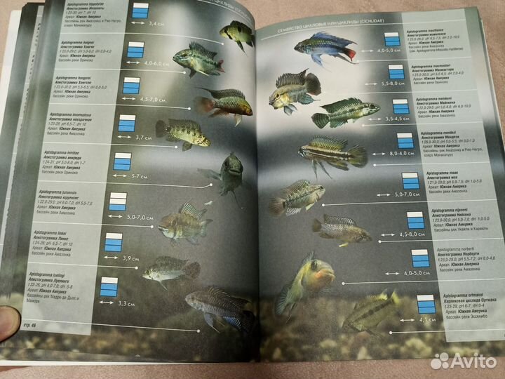 Аквариумные рыбки атлас справочник
