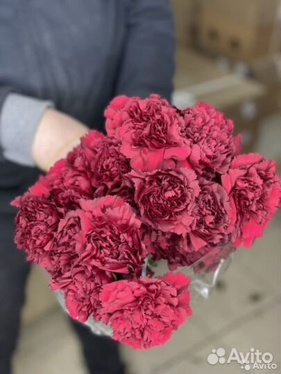 Гвоздики оптом от 100 штук