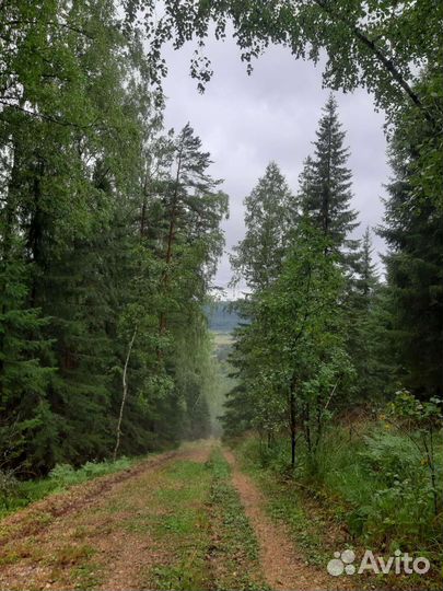 Индивидуальные экскурсии