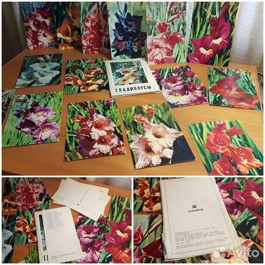 Открытки СССР о растениях