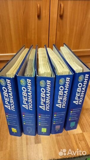 Древо познания