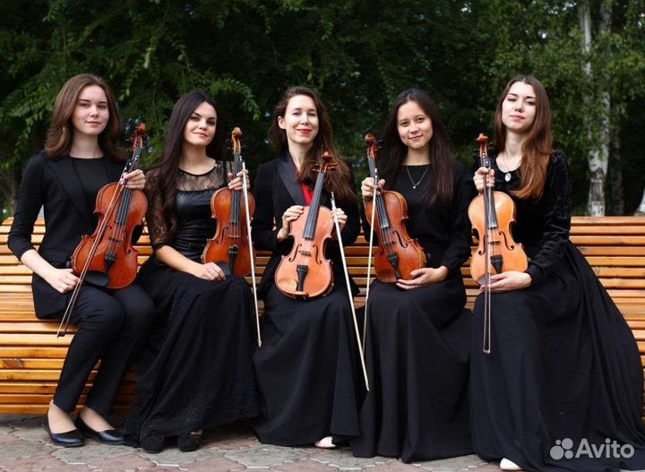 Живая музыка на свадьбу, юбилей, корпоратив