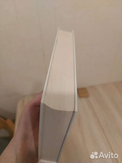 Ледяная принцесса. Железный крест