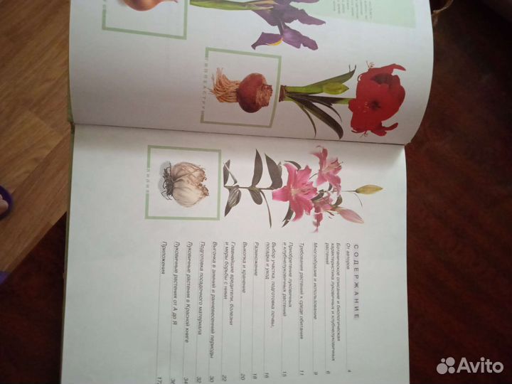 Книга,луковичные