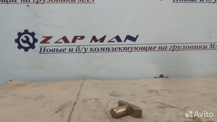 Ползун Man Tga