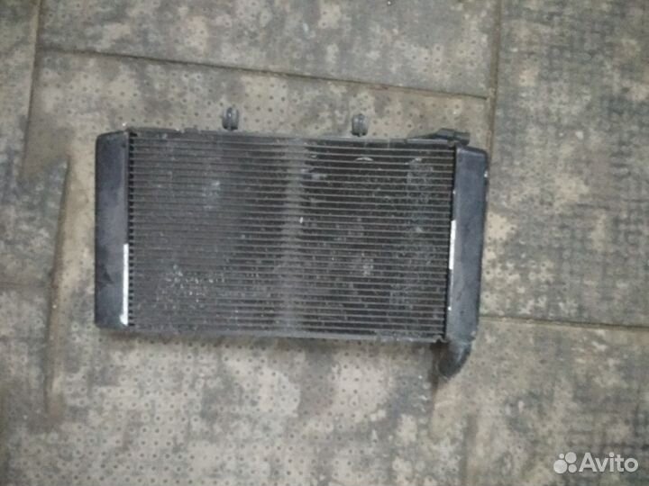 Радиатор охлаждения на honda CBR 600 FA 2014