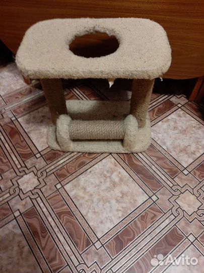 Когтеточка