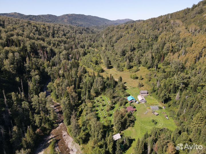 Продам пчелосемьи среднерусской породы