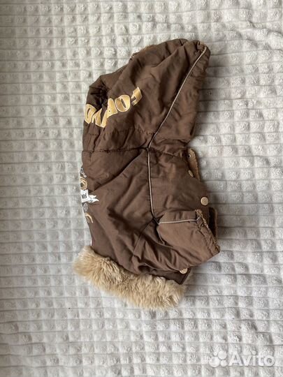 Новая одежда для собак