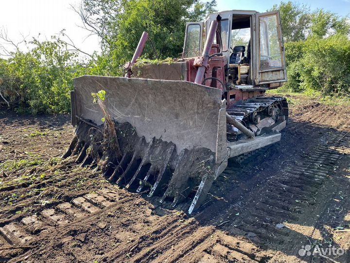 Раскорчевка участков, планировка под посев