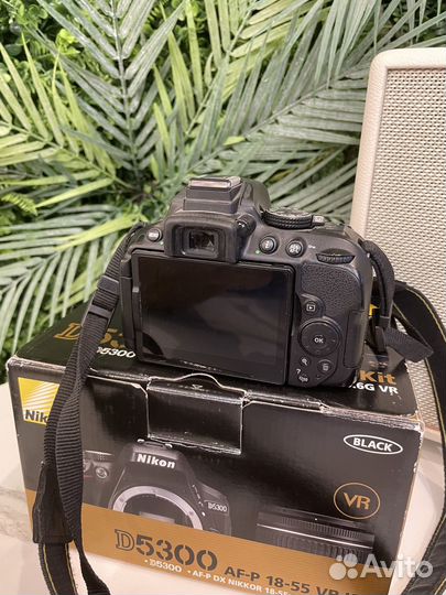 Зеркальный фотоаппарат nikon D5300