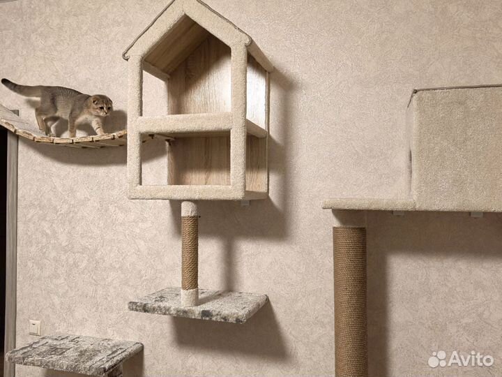 Когтеточка с домиком и лежанкой