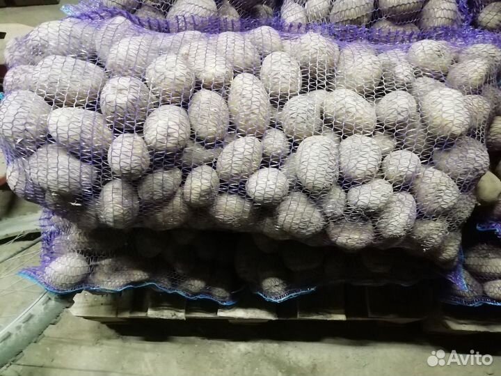 Картофель с доставкой на дом